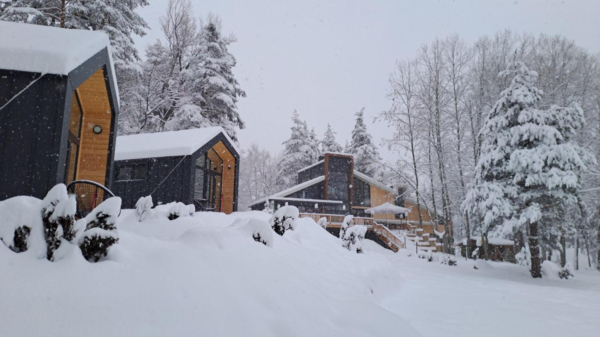 Saint Constantine Mountain Retreat Hotell Peshtera  Exteriör bild